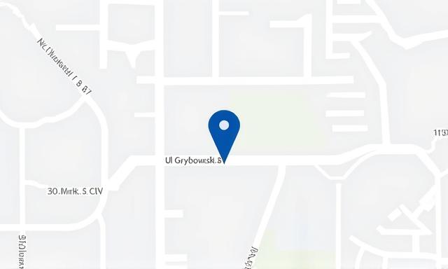 Map showing ul. Grzybowska 87, 00-844 Warszawa location